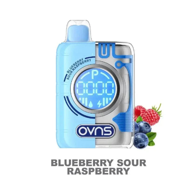 OVNS Puff Geek Truth Puff Disposable Blueberry Sour Raspberry