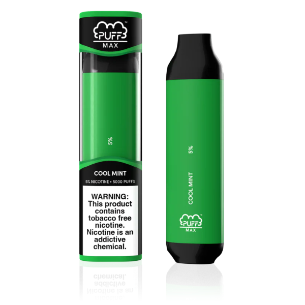 Best Deal Puff Max 5000 Puffs Disposable Vape 11mL - Cool Mint