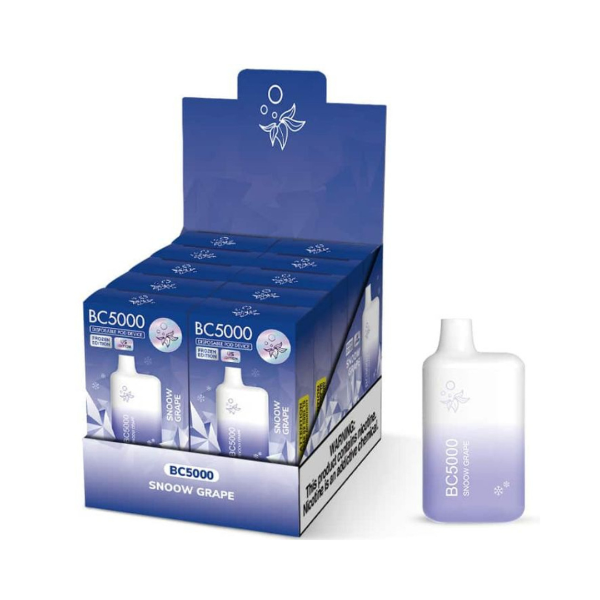 Best Deal ELF BC5000 Disposable Vape 9.5mL Snow Grappe