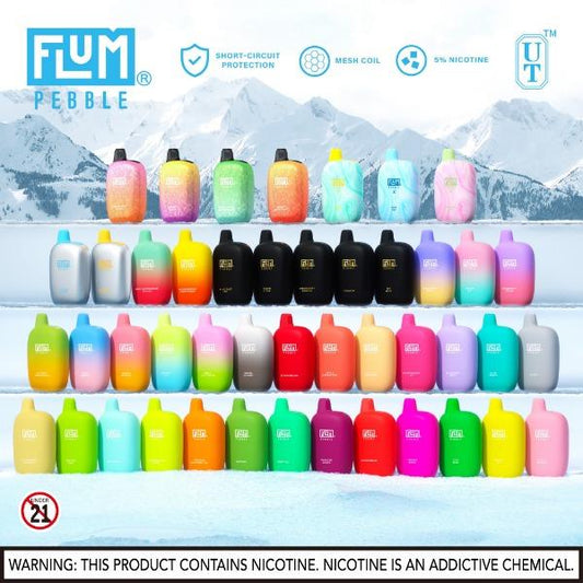 Flum Pebble 6000 Puffs Rechargeable Disposable 10-Pack Best FlavorsFlum Pebble 6000 Puffs Rechargeable Disposable 10-Pack 14mL Best Flavors