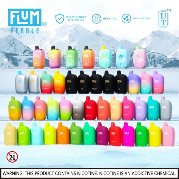 Float ( FLUM ) Pebble 6000 Puffs Rechargeable Disposable Vape 14mL