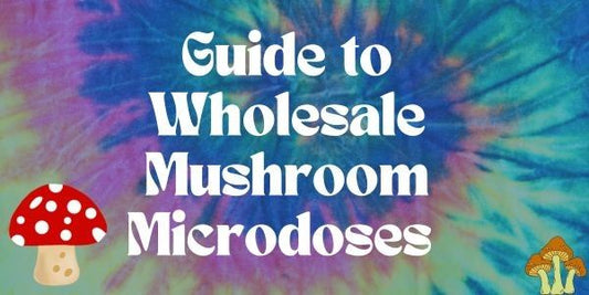 Guide to Wholesale Mushroom Microdoses