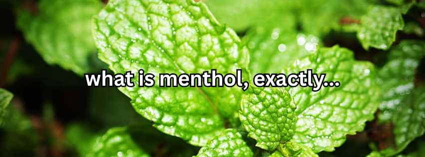 The Birth of Freshness: What Exactly Is Menthol? Where does it Come From?