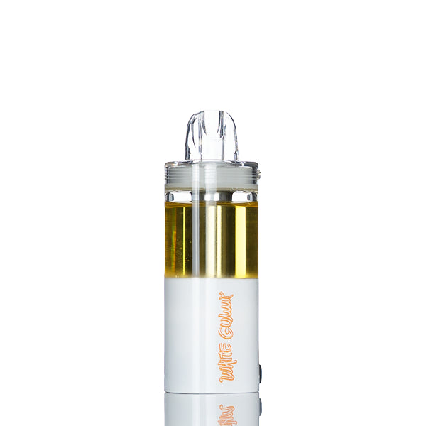 INTO 50,000 Puffs Disposable Pod (Foger Switch Pro Compatible)