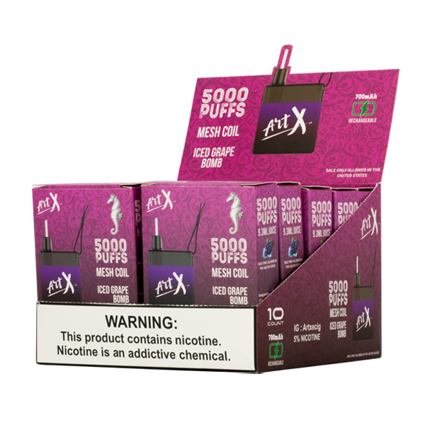 Art X Disposable Vape 5000 Puffs 10-Pack Best Flavor Iced Grape Bomb