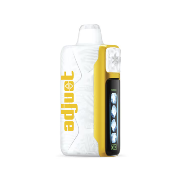 Adjust Mycool 40,000 Puffs Disposable - Dragon Strawnana