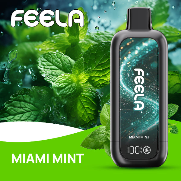 FEELA NIC 40,000 Puffs Disposable