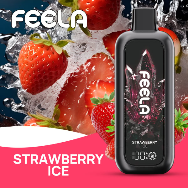 FEELA NIC 40,000 Puffs Disposable