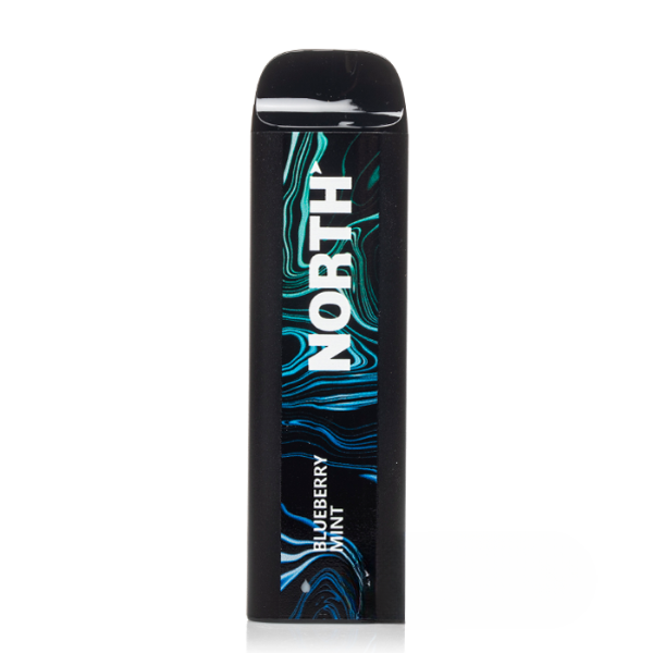 North 5000 Puffs Disposable - 10mL - Blueberry Mint