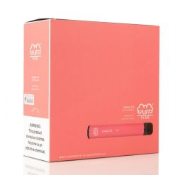 Puff Plus Disposable Vape - 10-Pack 3.2mL