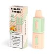 Best Deal HorizonTech Binaries Cabin TH6000 Puffs Disposable - Apricot Mango Peach Ice