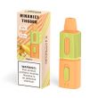 Best Deal HorizonTech Binaries Cabin TH6000 Puffs Disposable - Mango Ice