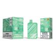 Czar CZ9000 9000 Puffs Disposable Alaskan Mint