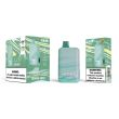 Czar CZ9000 9000 Puffs Disposable Lemon Mint