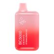 Elf Bar BC5000 10-Pack Strawmelon Ice