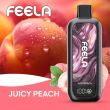 FEELA NIC 40,000 Puffs Disposable