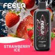 FEELA NIC 40,000 Puffs Disposable