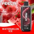 FEELA NIC 40,000 Puffs Disposable