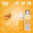 Strawberry Mango Flum Float Disposable 10-Pack