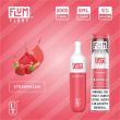 Strawmelon Flum Float Disposable 10-Pack