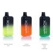 Honeydew Ice, Iced Peaches & Green Tea Ice Cream Fog X Box 6000 Puffs Disposable 10-Pack Bulk Deal!