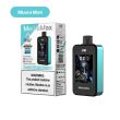 JNR Media Max 40,000 Puffs Disposable Vape Miami Mint