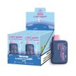 Lost Mary OS5000 Flavors 10 Pack Flavors Blueberry Raspberry Gami