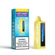 Lost Mary MO20000 PRO Rechargeable Vape - Pineapple ice