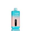 Lovmee Love 30K 30000 Puffs Disposable Vape Sour Berry