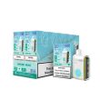Geek Bar Pulse Miami Mint 10 Pack