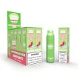 Watermelon Icee Puff Daddy 6000 Puffs Disposable 10-Pack Ejuices Wholesale Price!