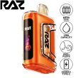 RAZ TN9000 9000 Puffs Disposable Pumpkin Pie Frosting