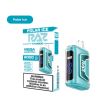 RAZ TN9000 9000 Puffs Disposable Polar Ice Packaging