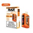 RAZ TN9000 9000 Puffs Disposable Pumpkin Pie Frosting Packaging