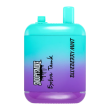 Best Deal SnoopySmoke Extra Tank 15000 Puffs Recharge Vape - Blueberry Mint