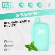 Spearmint Flum Pebble 6000 Puffs Rechargeable Disposable 5-Pack Ejuices Wholesale Deal!