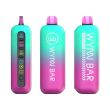 Wynn Bar 4 Adjust 50,000 Puffs Disposable Vape Blue Razz Ice