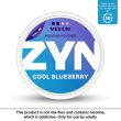 ZYN Nicotine Pouches Cool Blueberry