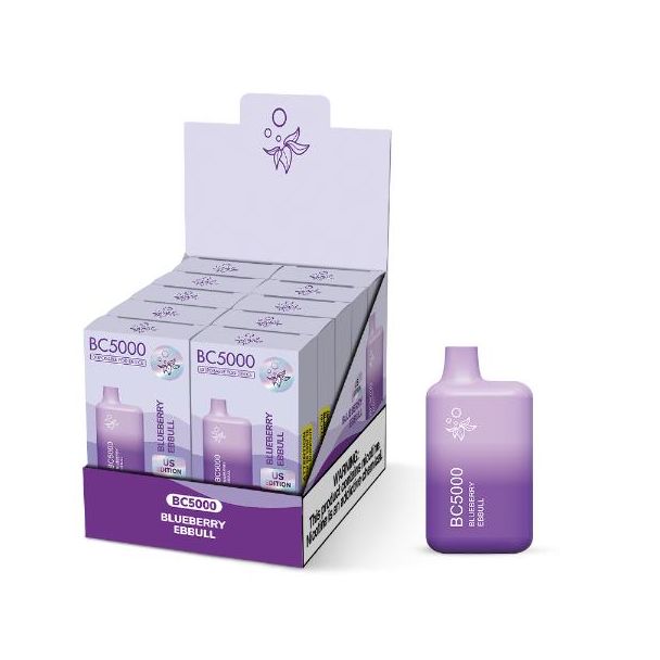 Bc5000 10 Pack Flavors Blueberry ebbull