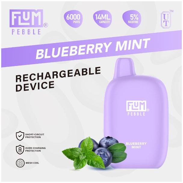 Blueberry Mint Flum Pebble 6000 Puffs Rechargeable Disposable 5-Pack Bulk Deal!