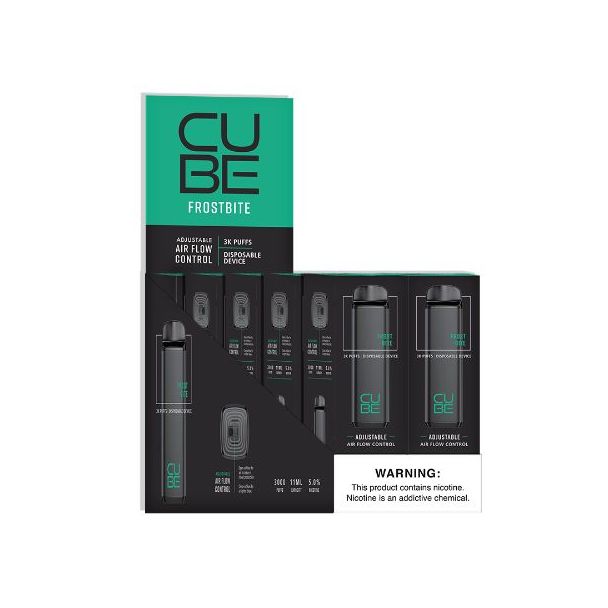 VaporTech Cube Disposable 10-Pack Frostbite