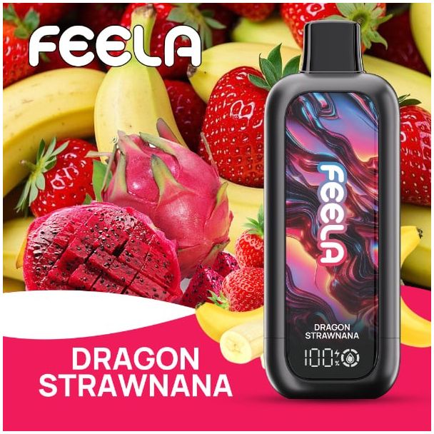 FEELA NIC 40,000 Puffs Disposable