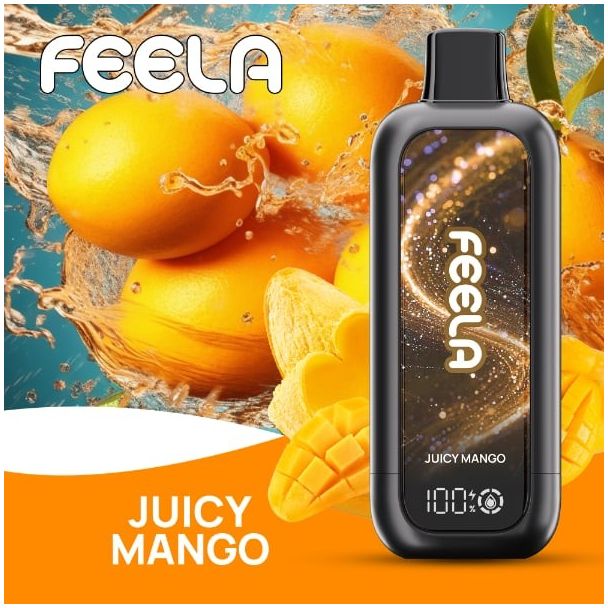 FEELA NIC 40,000 Puffs Disposable