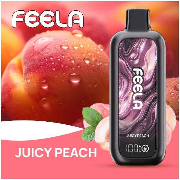 FEELA NIC 40,000 Puffs Disposable