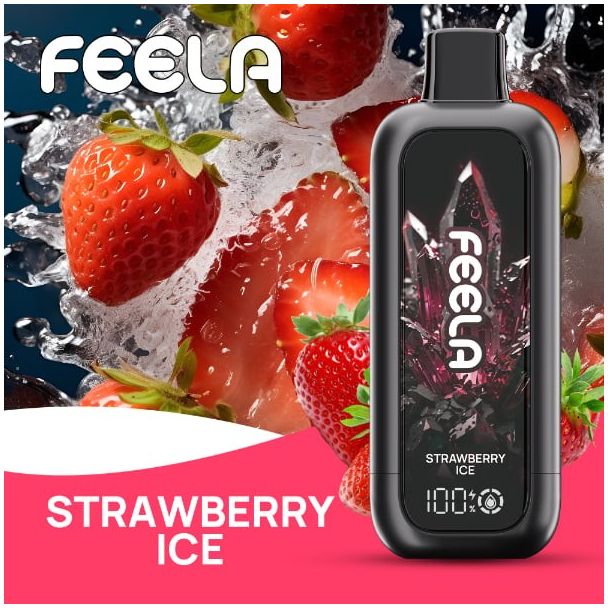 FEELA NIC 40,000 Puffs Disposable