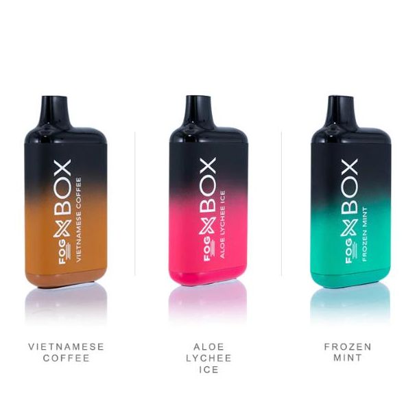 Vietnamese Coffee, Aloe Lychee Ice & Frozen Mint Fog X Box 6000 Puffs Disposable 10-Pack Bulk Price!