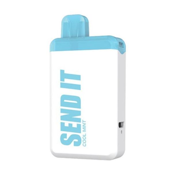 Cool Mint SEND IT 5000 Puff Single Disposable Ejuices Wholesale Deal!
