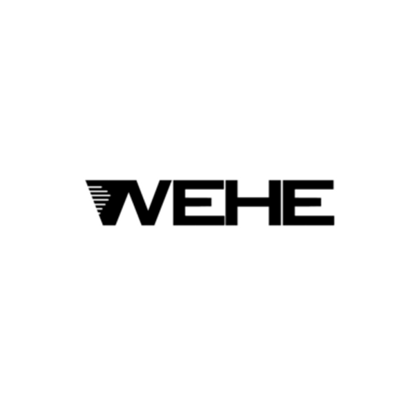 Wehe G25 Coils-5-Pack - 0.6ohm